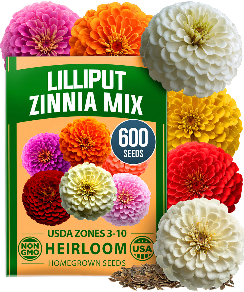 HOME GROWN Zinnia Lilliput Mix – 2500 Seeds (2g), Zinnia elegans for Spring 2026, Colorful Flowers for Beds, Containers & Cut Blooms