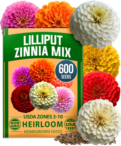 HOME GROWN Zinnia Lilliput Mix – 2500 Seeds (2g), Zinnia elegans for Spring 2026, Colorful Flowers for Beds, Containers & Cut Blooms