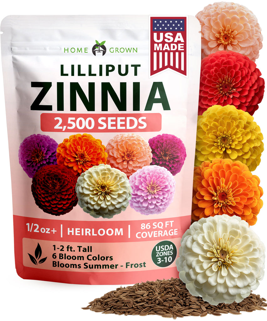HOME GROWN Zinnia Lilliput Mix – 2500 Seeds (2g), Colorful Zinnia elegans for Spring 2026 Planting, Easy Grow Flowers for Beds, Containers & Cut Blooms