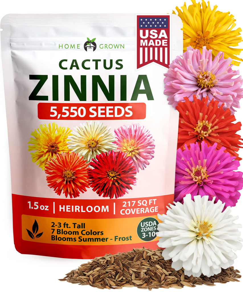 HOME GROWN Zinnia Cactus Mix Seeds - 5550 Flower Seeds for Spring Planting Outdoors 2026, Large Zinnia Flower Seed, Easy Grow Garden & Cut Flowers (Zinnia elegans)