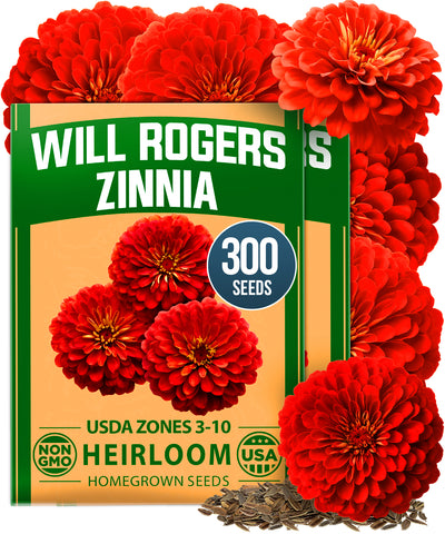 zinnia flower seed Will Rogers Zinnia Seeds, 600 ct (2 packs), Heirloom
