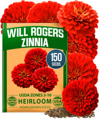 Will Rogers Zinnia Seeds | 150 Heirloom Non-GMO Zinnia elegans Flower Seeds for Planting Outdoors, Tall Cut Flowers for 2026