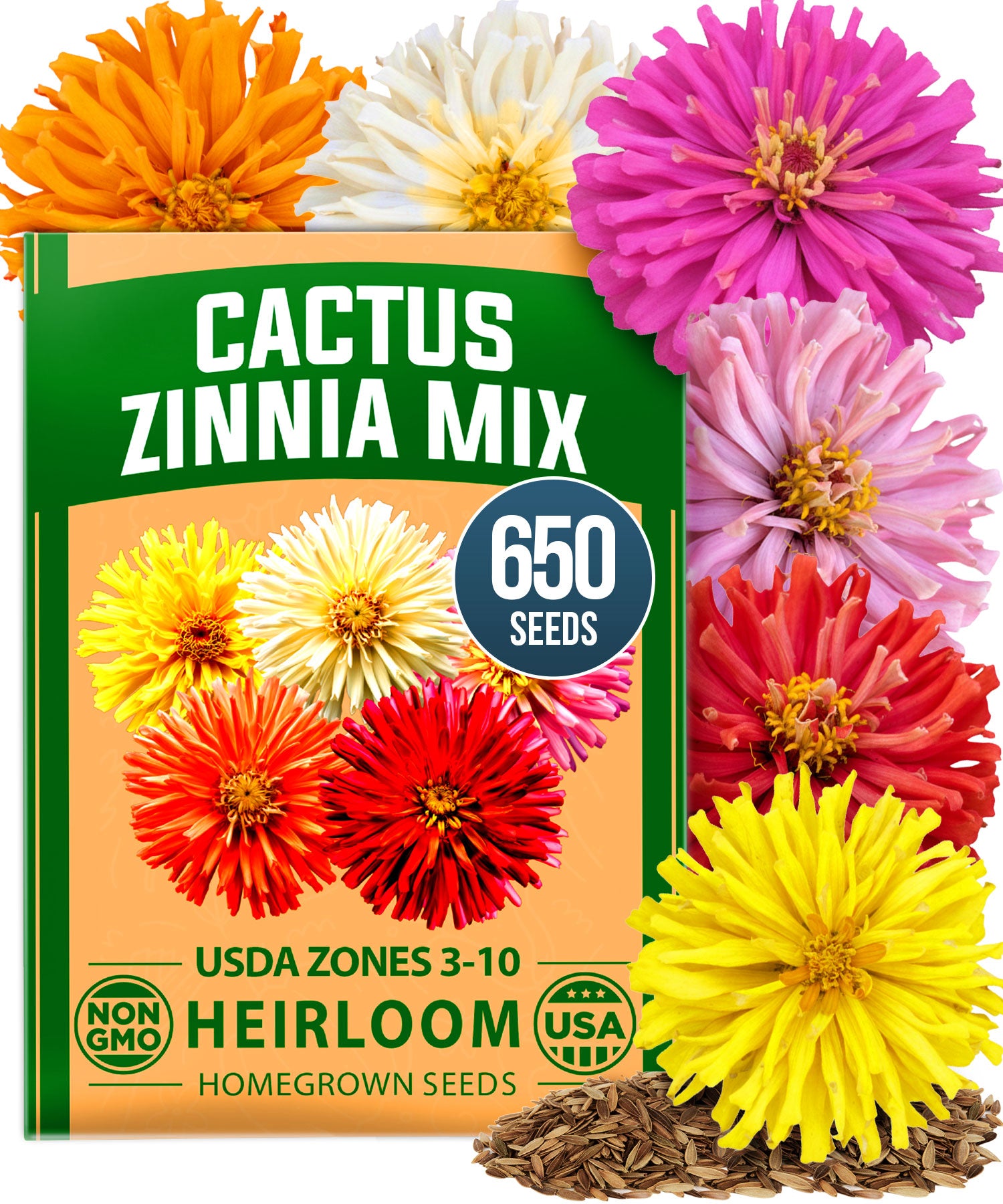 HOME GROWN Zinnia Cactus Mix Seeds – 650 Seeds for Spring 2026, Large Bloom Zinnia elegans, Easy Grow Garden & Cut Flowers