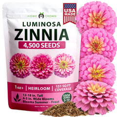 HOME GROWN Pink Zinnia Seeds – 4500 Luminosa Zinnias (0.5g), Easy-Grow Annual Flowers, Fast Blooming, Heat Tolerant (Zinnia elegans)