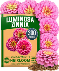 Zinnia Luminosa Seeds – Pack of 1 (300 Seeds) | Pink Zinnia elegans Flower Seeds for Planting Outdoors, Cut Annual Summer Blooms