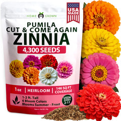 HOME GROWN Dwarf Zinnia Seeds Mix – 4,300 Pumila Zinnia Seeds (0.6g) for 2026 | Colorful Cut Flowers for Summer Gardens & Containers