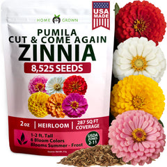 HOME GROWN Dwarf Zinnia Seeds Mix – 8,525 Pumila Zinnia Seeds (0.6g) for 2026 | Colorful Zinnia Flowers for Outdoor Gardens & Containers
