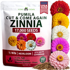 HOME GROWN Dwarf Zinnia Seeds Mix – 17,000 Pumila Seeds for 2026 | Easy-Grow Zinnia elegans for Colorful Summer Gardens & Containers