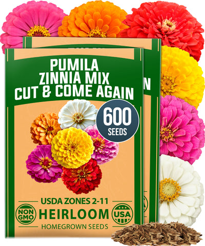 pennington zinnia garden seed blend Dwarf Zinnia Seeds Mix, 600 Pumila Seeds, Non-GMO