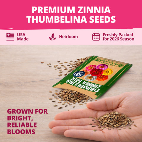 HOME GROWN Zinnia Thumbelina – 1000 Seeds (1g), Dwarf Zinnia Flower Seeds for Planting Outdoors 2026, Easy Summer Blooms for Containers & Borders