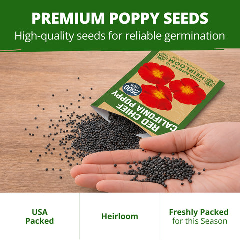 HOME GROWN California Poppy Red Chief Seeds – 5000 Eschscholzia californica Seeds (3.2g), Heirloom Non-GMO, Crimson Wildflower