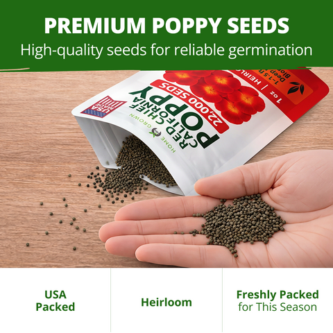 HOME GROWN California Poppy Seeds for Planting Red Chief 22 000 Seeds 29g Red Blooms Heirloom Non GMO Wildflower Pollinator Gardens Drought Tolerant Zones 2 10 Eschscholzia californica