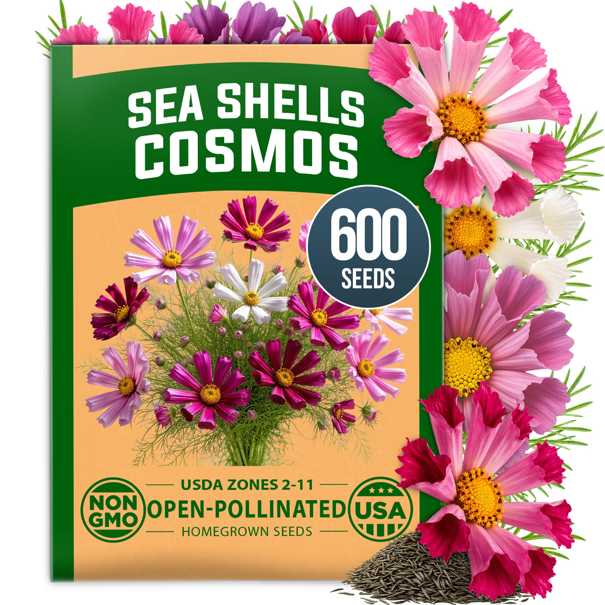 HOME GROWN Sea Shells Cosmos Flower Seeds (Cosmos bipinnatus) – 600 Heirloom Non-GMO Seeds, Quilled Petals, Mixed Colors, Pollinator-Friendly Cut Flowers