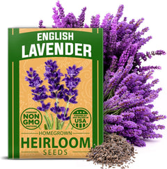 Lavender1pk_240x.jpg?v=1705315922