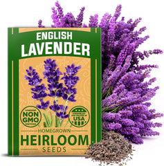 Premium English Lavender Seeds - 1 Pack