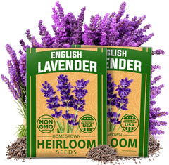 Premium English Lavender Seeds - 2 Pack