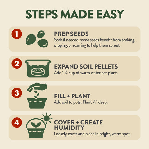 Bonsai Growing Kit – Complete Set with Seeds, Pots & Tools (4 Varieties)