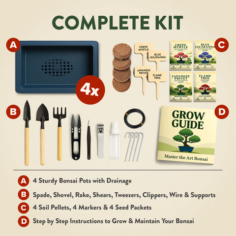Bonsai Growing Kit – Complete Set with Seeds, Pots & Tools (4 Varieties)