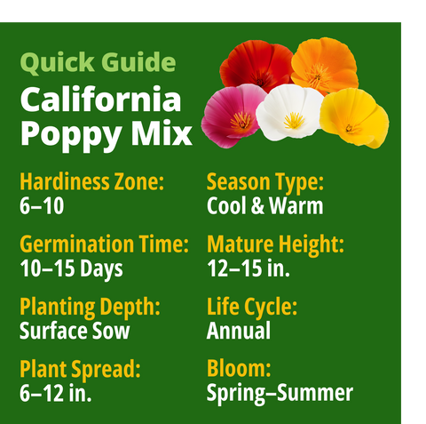 HOME GROWN California Poppy Formula Mix – 11,000 Seeds (1.3g), Spring 2026 Flower Seeds, Eschscholzia californica, Bulk Wildflower Poppy Seeds