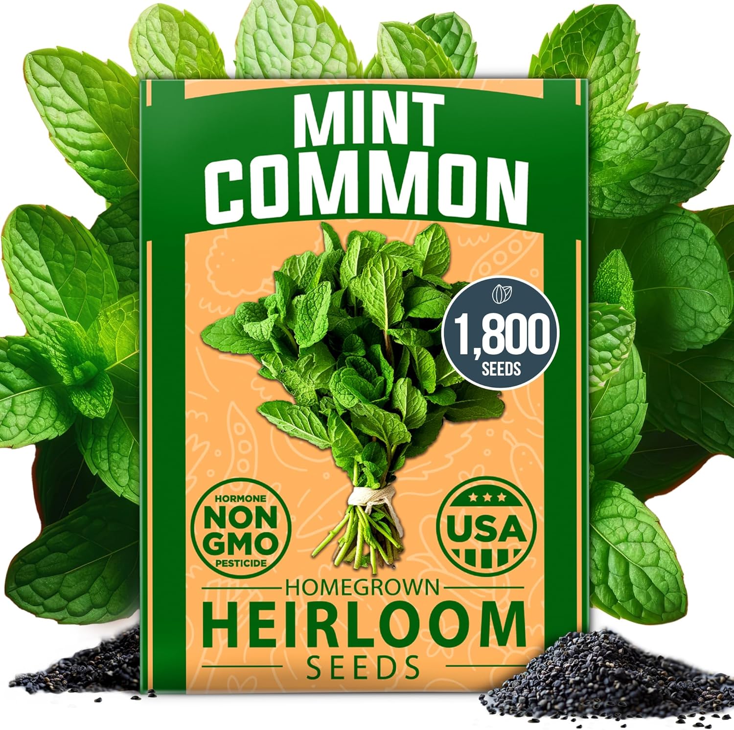 Common Mint Seeds, 1800 ct, Non-GMO, USA Grown