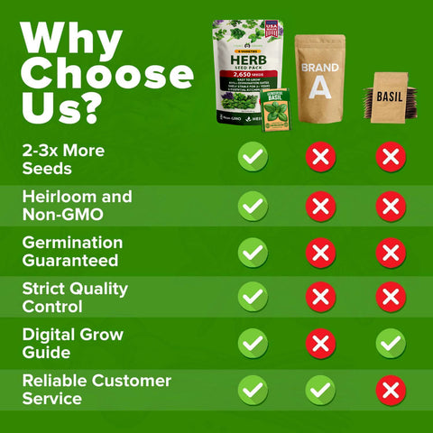 Herb Seed Variety Pack – 6 Non-GMO Culinary Herbs for Indoor, Outdoor & Hydroponic Growing