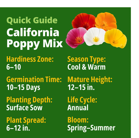 Formula Mix California Poppy Seeds - 3,000 Seeds - Mixed Colors