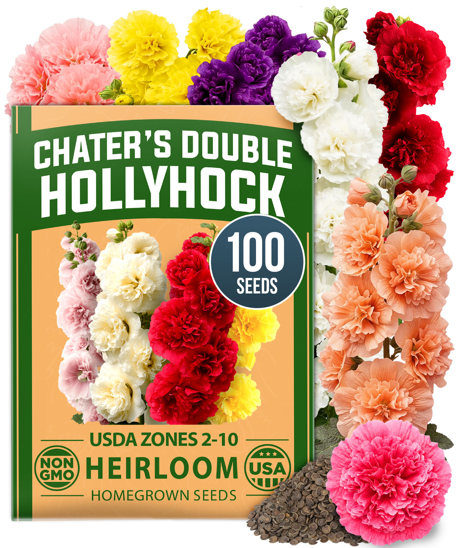 HOME GROWN Hollyhock Chaters Double Mix 100 Seeds (0.9g) – Alcea rosea Flower Seeds for Planting Spring 2026, Double Hollyhock Seeds Perennial Giant, Tall Cottage Garden Blooms