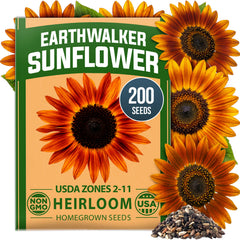 Earthwalker Sunflower Seeds - 200 Seeds - Rust & Copper Blooms