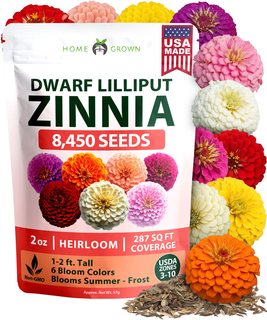 HOME GROWN Lilliput Mix Zinnia Seeds for Planting 8450 Seeds 57g Heirloom Non GMO Double Dwarf Pompon Blooms for Containers Borders Cut Flowers Pollinator Gardens Zinnia elegans