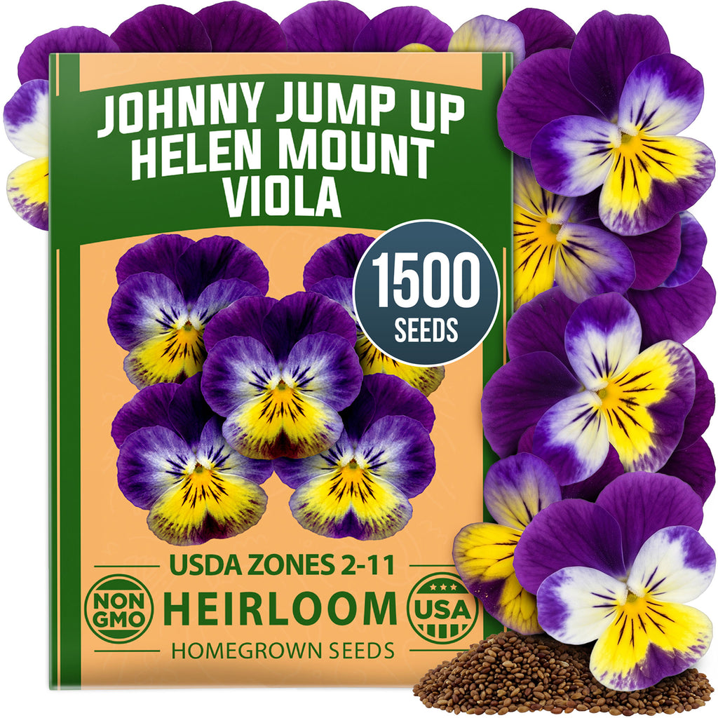 HOME GROWN Johnny Jump Up Seeds (Viola tricolor 'Helen Mount') – 1,500 Heirloom Non-GMO Flower Seeds, Purple Yellow White Tricolor Blooms, Cottage Garden Pansy