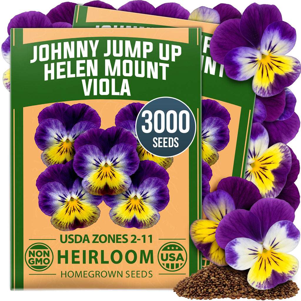 HOME GROWN Johnny Jump Up Seeds (Viola tricolor 'Helen Mount') – 3000 Seeds (0.9g), Heirloom Non-GMO Tricolor Flower Seeds, Purple Yellow White Cottage Garden Blooms