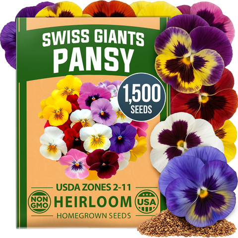 HOME GROWN Swiss Giant Pansy Seeds – 1,500 Heirloom Non-GMO Viola Seeds (2.127g), Mixed Colors, Cool-Season Spring & Fall Blooms for 2026