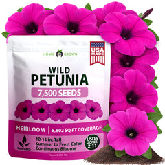 HOME GROWN Wild Petunia Flower Seeds – 7,500 Heirloom Non-GMO Seeds, Petunia violacea, Violet Purple Trumpet Blooms for Planting, Containers, Baskets & Borders