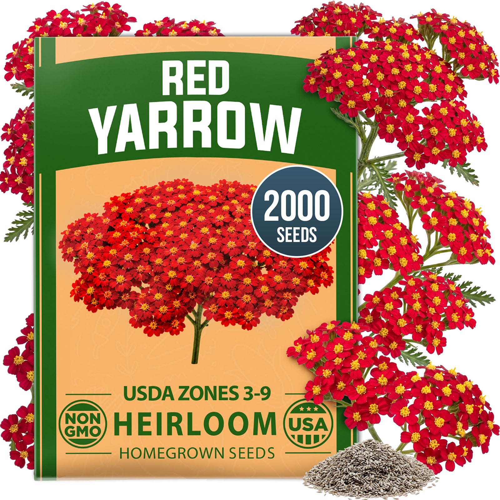 HOME GROWN Red Yarrow 2,000 Flower Seeds, Achillea millefolium, Heirloom Non-GMO, Carmine Red Blooms, Pollinator Garden