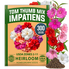 HOME GROWN Impatiens Tom Thumb Mix 300 Flower Seeds, Impatiens balsamina, Heirloom Non-GMO, Double Blooms, 5 Colors