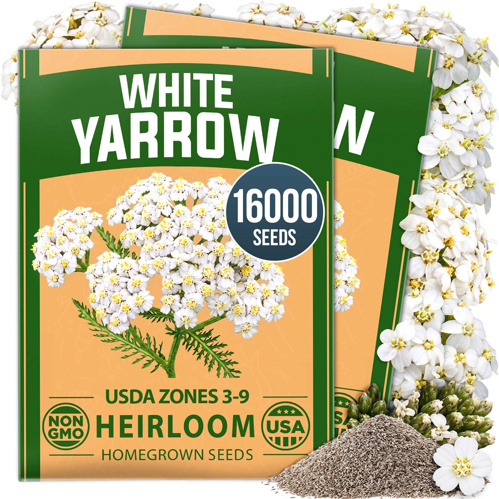 HOME GROWN White Yarrow Flower Seeds (Achillea millefolium) – 16,000 Heirloom Non-GMO Seeds, Drought-Tolerant Perennial, Pollinator-Friendly Wildflower for Gardens