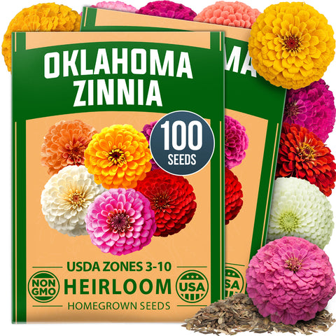 HOME GROWN Oklahoma Zinnia Seeds for Planting, 100 Heirloom Non GMO Seeds (2 Pack, 50 Seeds Each, 0.5g), Zinnia elegans, Mixed Colors Annual Cut Flowers for Bouquets, Pollinator Gardens, Zones 3 to 10