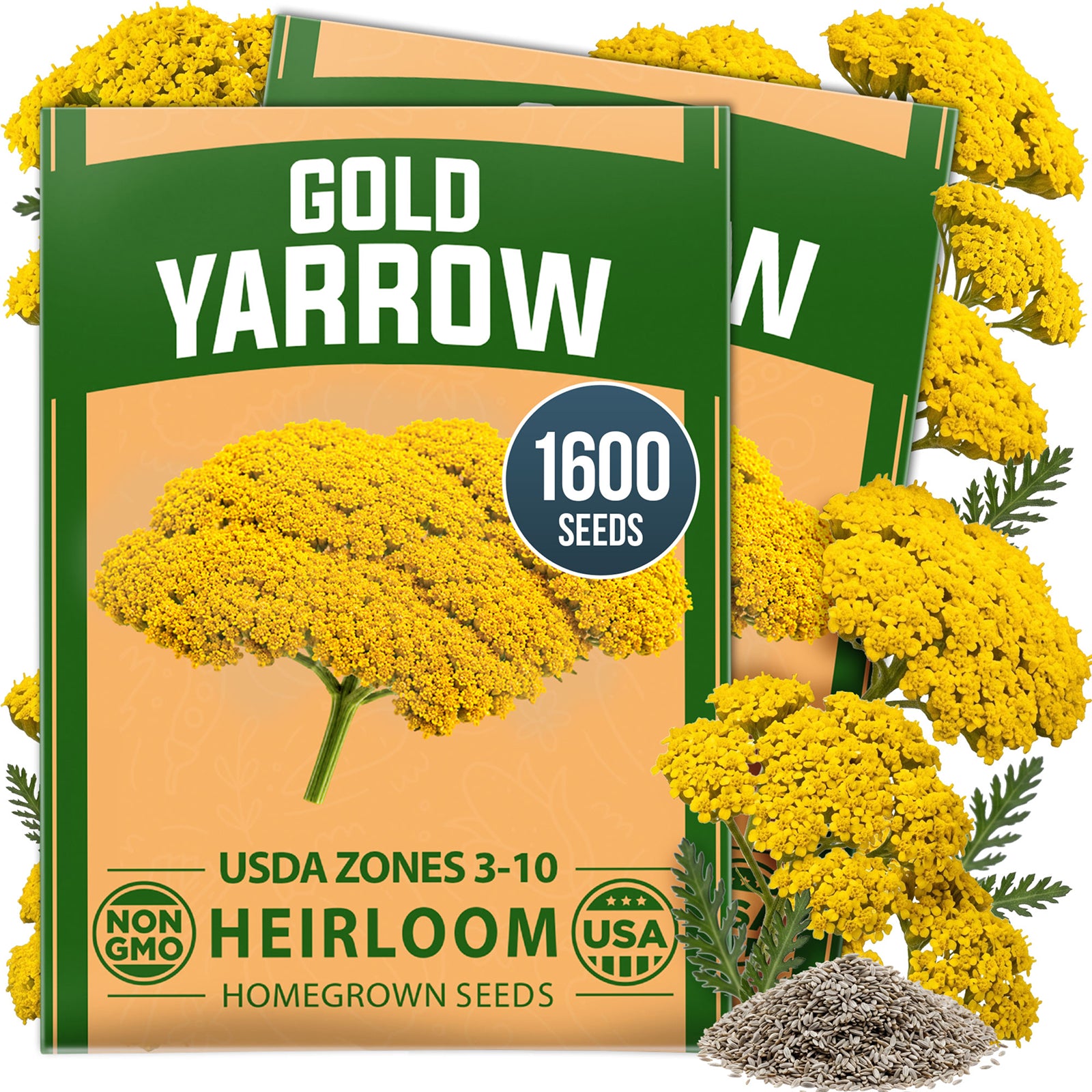 HOME GROWN Gold Yarrow Flower Seeds – 1600 Heirloom Non-GMO Seeds, Achillea filipendulina, Golden Yellow Perennial Flowers for Planting, Pollinator & Cut Gardens