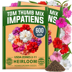 HOME GROWN Impatiens Tom Thumb Mix 600 Flower Seeds, Impatiens balsamina, Heirloom Non-GMO, Double Blooms, 5 Colors (Copy)
