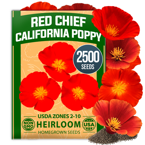 HOME GROWN California Poppy Red Chief Seeds – 2,500 Eschscholzia californica Seeds (3.2g), Heirloom Non-GMO, Crimson Wildflower