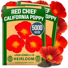 HOME GROWN California Poppy Red Chief Seeds – 5000 Eschscholzia californica Seeds (3.2g), Heirloom Non-GMO, Crimson Wildflower