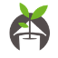 Buy Heirloom Seeds and Gardening Kits at Home Grown Garden logo