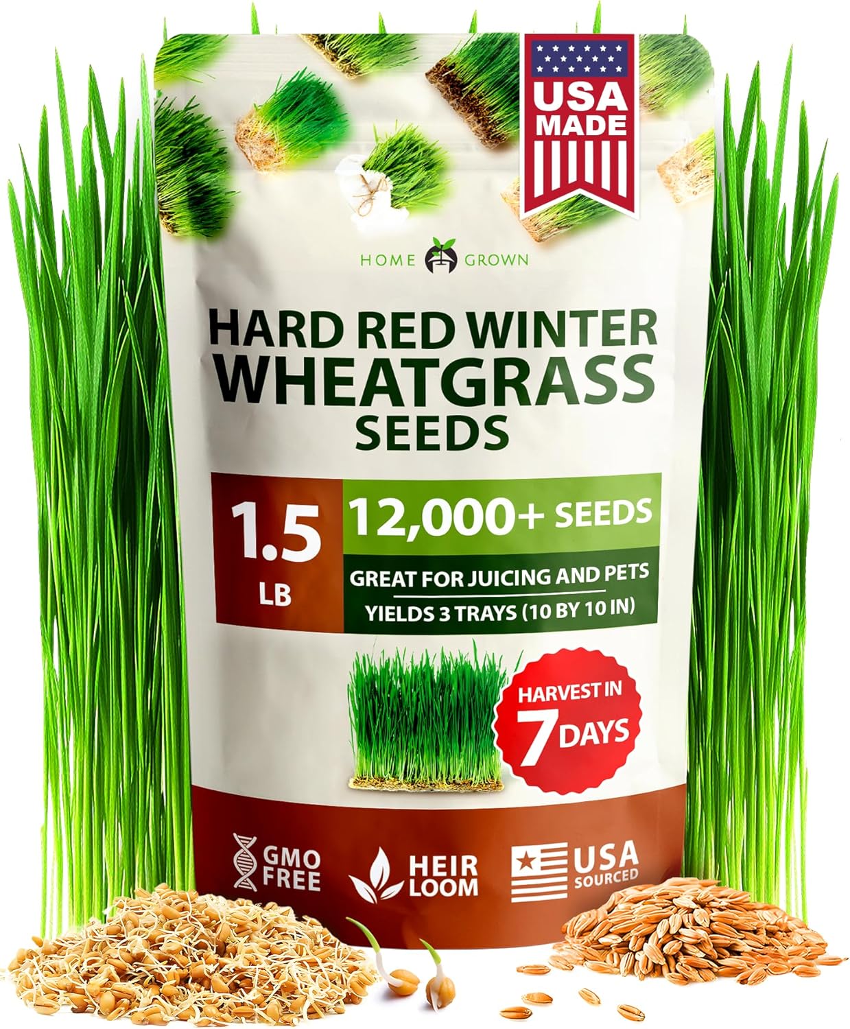 Hard Red Winter Wheatgrass Seeds, 1.5lb Bulk - Homegrown Garden