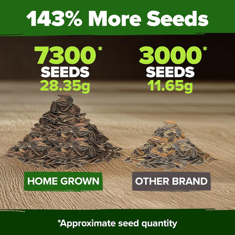 giant garden seeds Zinnia California Giant Mix Seeds, 7300+ ct, USA Grown