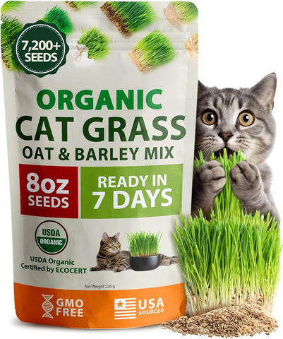 thumbnail image 2 of Organic Oat Grain Cat Grass Seed 8oz Indoor Pet Grass Seeds 2 of 9