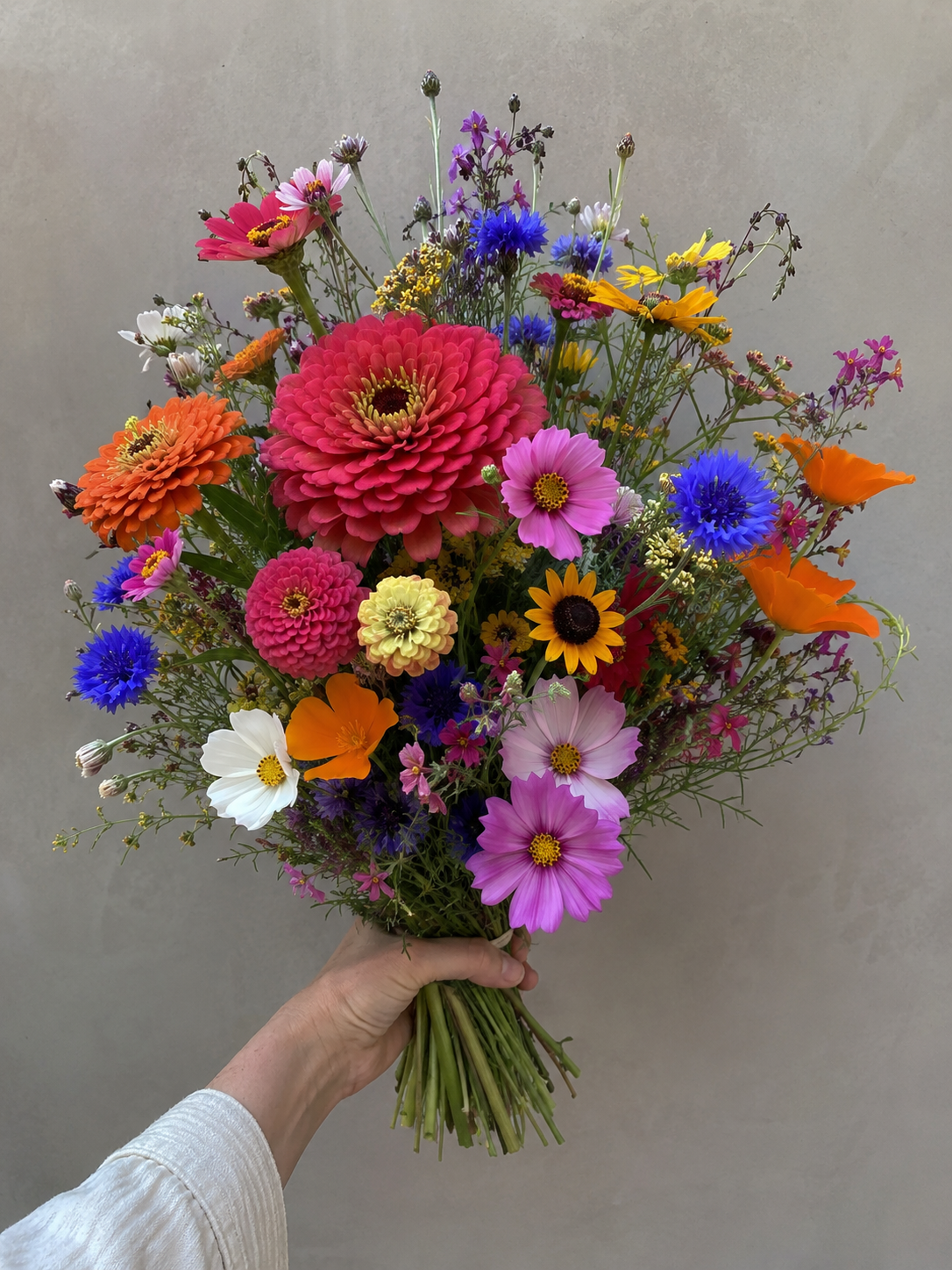 Pollinators & Giants bundle