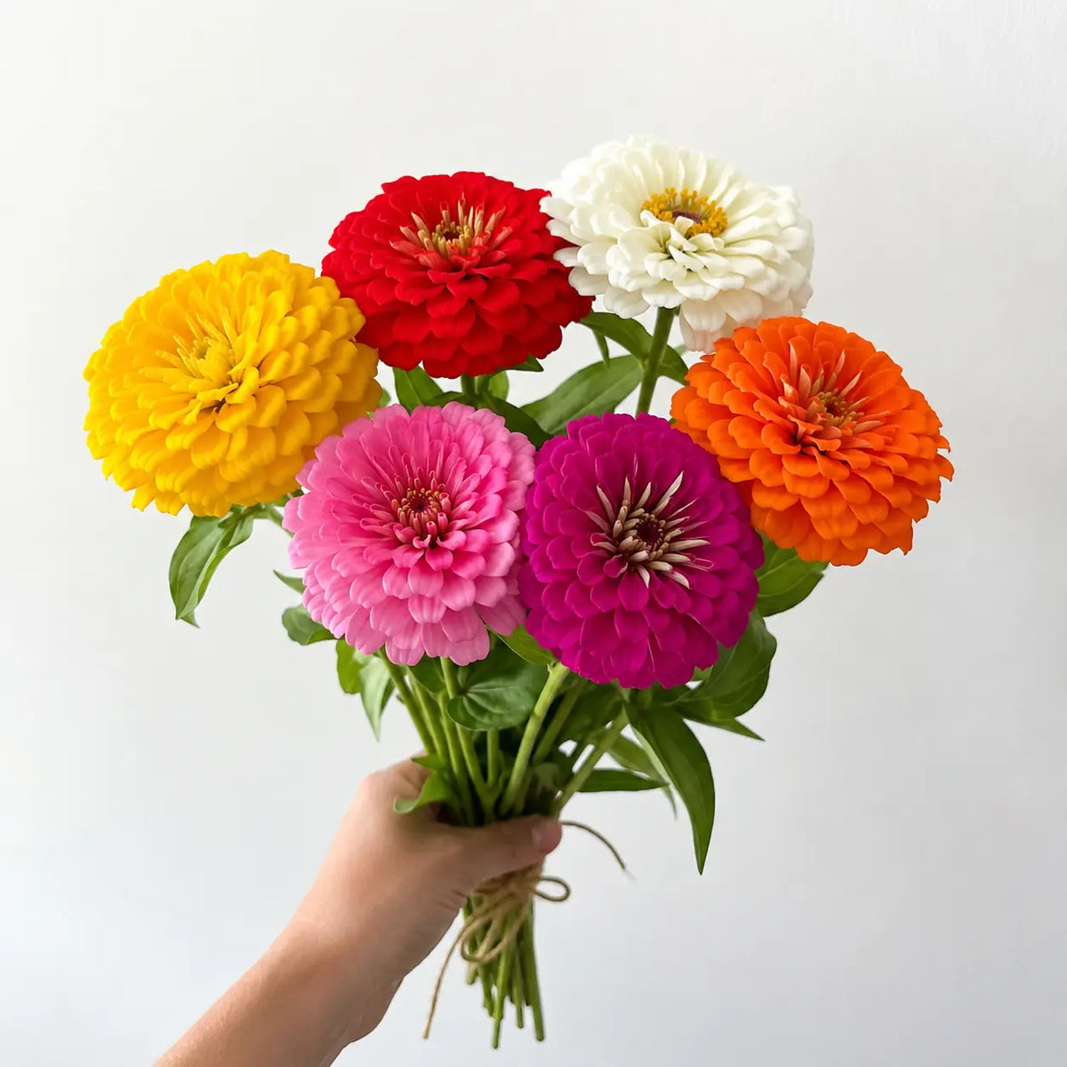 Garden Starter bundle