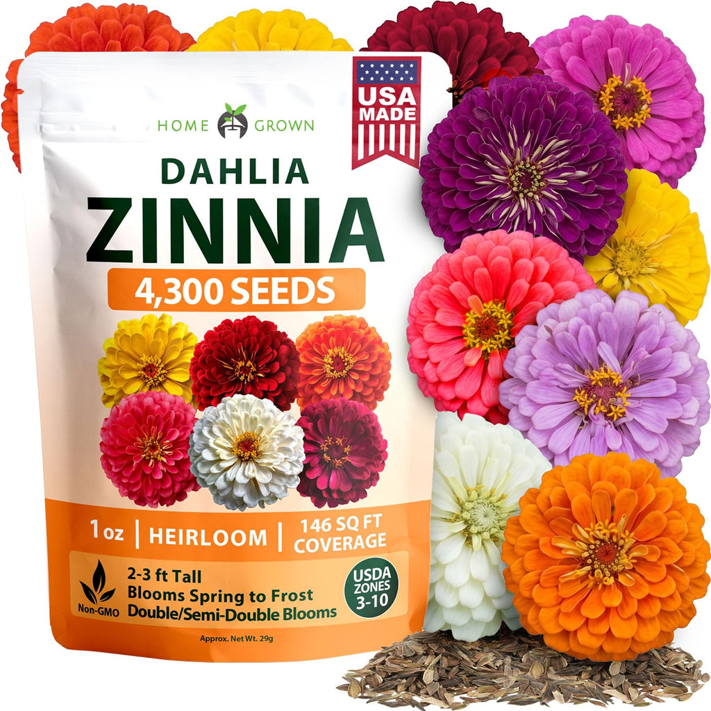 Dahlia Zinnia Seeds - 4,300 Seeds (1 oz) - Large Double Blooms
