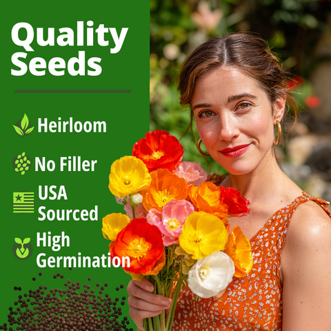 HOME GROWN California Poppy Mission Bells – 6000 Seeds (9g), Spring & Summer Flower Seeds, Drought Tolerant, Eschscholzia californica