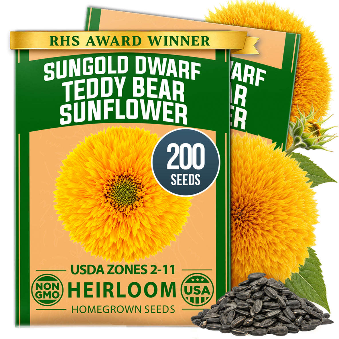 HOME GROWN Dwarf Teddy Bear Sunflower 200 Seeds, Helianthus annuus, Sungold Variety, Heirloom Non-GMO, Double Golden Blooms (Copy)